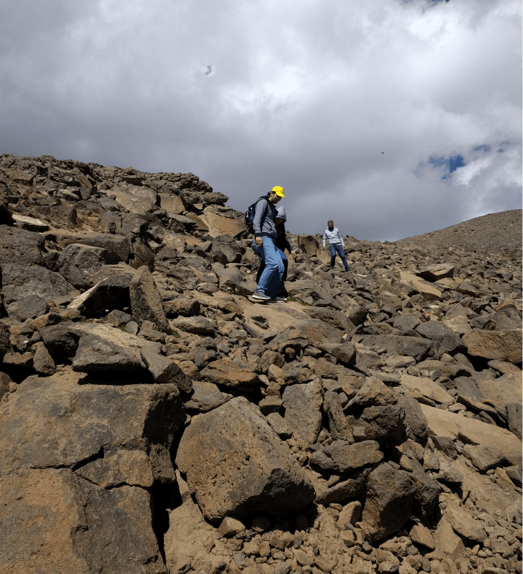 Life at InConcept Labs